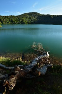 Le Cratère de type Maar du Lac Pavin<br>
Parc Naturel Régional des Volcans d'Auvergne