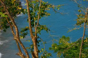 Anse à Voile depuis le Chemin Prêcheur - Grand'Rivière<br>
Parc Naturel Régional de La Martinique