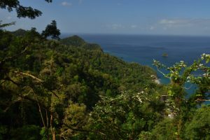 Anse Lévrier &amp; Anse à Voile<br>
Chemin Prêcheur - Grand'Rivière<br>
Parc Naturel Régional de La Martinique