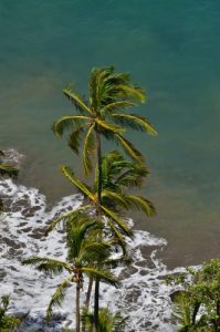 Le paradisiaque Anse des Galets<br>
Chemin Prêcheur - Grand'Rivière<br>
Parc Naturel Régional de La Martinique