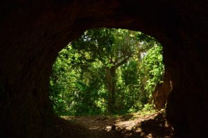Tunnel sur le Chemin Prêcheur - Grand'Rivière<br>
Parc Naturel Régional de La Martinique