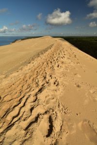 La Dune du Pilat<br>
Parc Naturel Régional des Landes de Gascogne