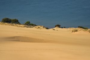 La Dune du Pilat<br>
Parc Naturel Régional des Landes de Gascogne