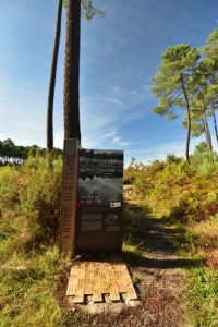 L'Espace Naturel Sensible des Lagunes du Gât-Mort<br>
Parc Naturel Régional des Landes de Gascogne