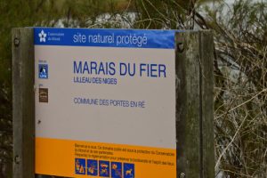 La Réserve Naturelle de Lilleau des Niges<br>
Île de Ré