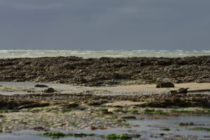 Plage Campiotel à le Chabot<br>
Île de Ré